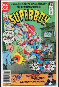The New Adventures of Superboy #14 (1981) Superboy