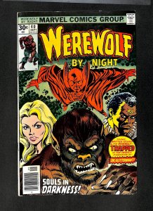 Werewolf By Night #40