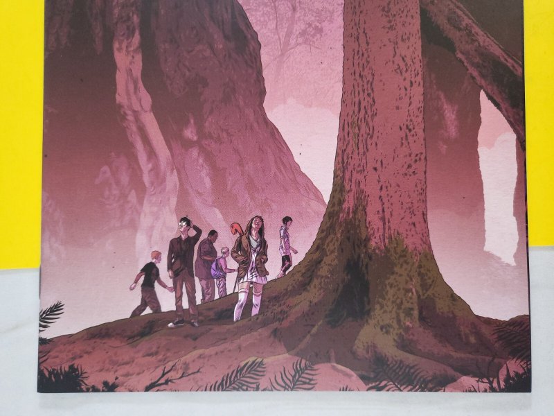 The Woods #1 Matthew Woodson 1:10 Variant 2014 Boom! Studios Optioned