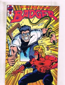 Lot of 5 Badger First Comic Books #42 43 44 45 46 WT5