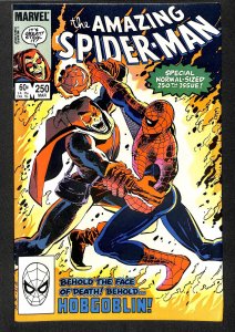 The Amazing Spider-Man #250 (1984)