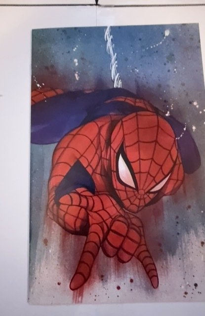 The Amazing Spider-Man #46 Momoko Cover B (2020)