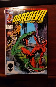 Daredevil #247 (1987)