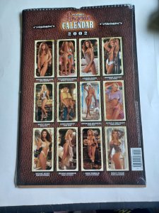 Playboy 2002 Lingerie Calendar - Playmates - SEALED - NEW