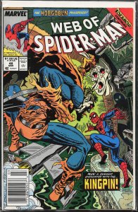 Web of Spider-Man #48 (1989) Spider-Man