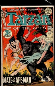 Edgar Rice Burroughs' Tarzan #209 (1972)