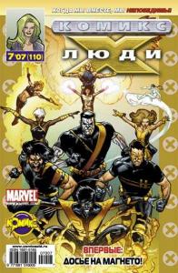 Магнитный полюс. Заключение