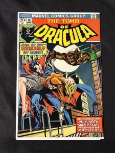 Tomb Of Dracula #18 (1974) KEY! First Battle Of Dracula Vs. Werewolf By Night!