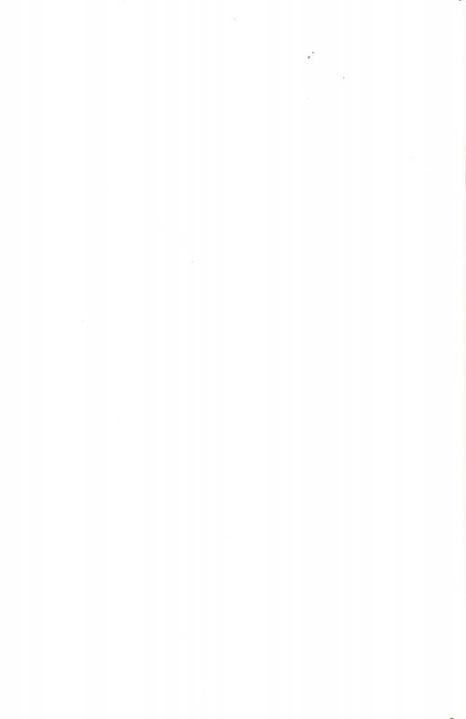 Red Sonja/Conan #1 Blank Sketch Cover J (2015) New