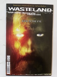 Wasteland #29  - NM+   (2010)