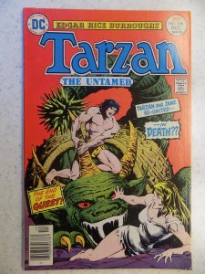 TARZAN # 256 DC JUNGLE ACTION ADVENTURE ART BURROUGHS