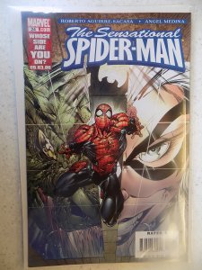 SENSATIONAL SPIDER-MAN # 24