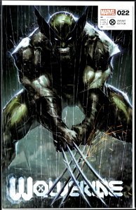 Wolverine #22 Tao Cover (2022) Wolverine