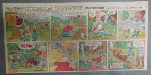 (36) Walt Disney's Uncle Remus Tales of Brer Rabbit 1960 Size: ~7.5 x 15 inches