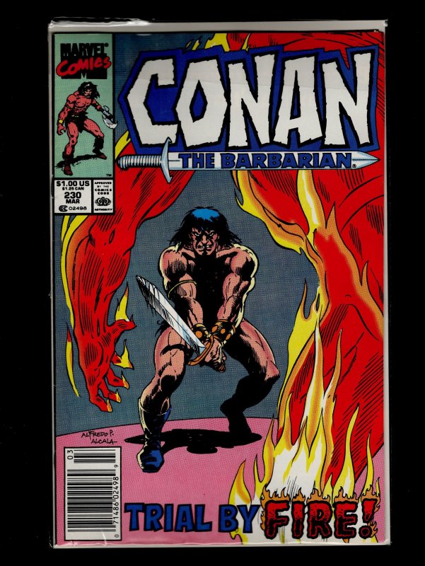 Conan the Barbarian #221,222,223,224,225,226,227,228,229,230 (1989)