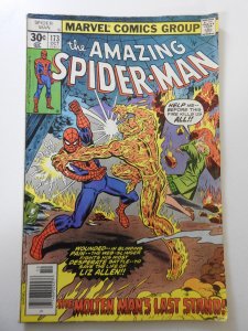 The Amazing Spider-Man #173 (1977) VG Condition!