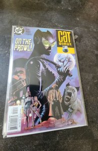Catwoman #41 (2005)