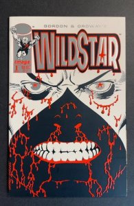 Wildstar: Sky Zero #1 (1993)