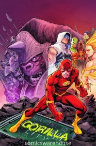 FLASH (2011 DC) #13 NM A45272