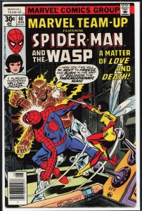 Marvel Team-Up #60 (1977) Wasp