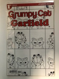 Grumpy Cat/Garfield #1 Cover G (2017)