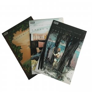 Grass Kings #2 #3 #4 Set Lot Run Matt Kindt Tyler Jenkins BOOM! Studios 2017