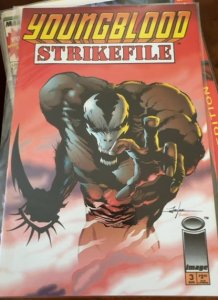 Youngblood Strikefile #3  