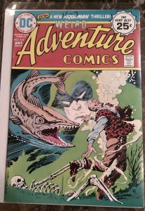 Adventure Comics #437 (Feb 1975, DC) VF+