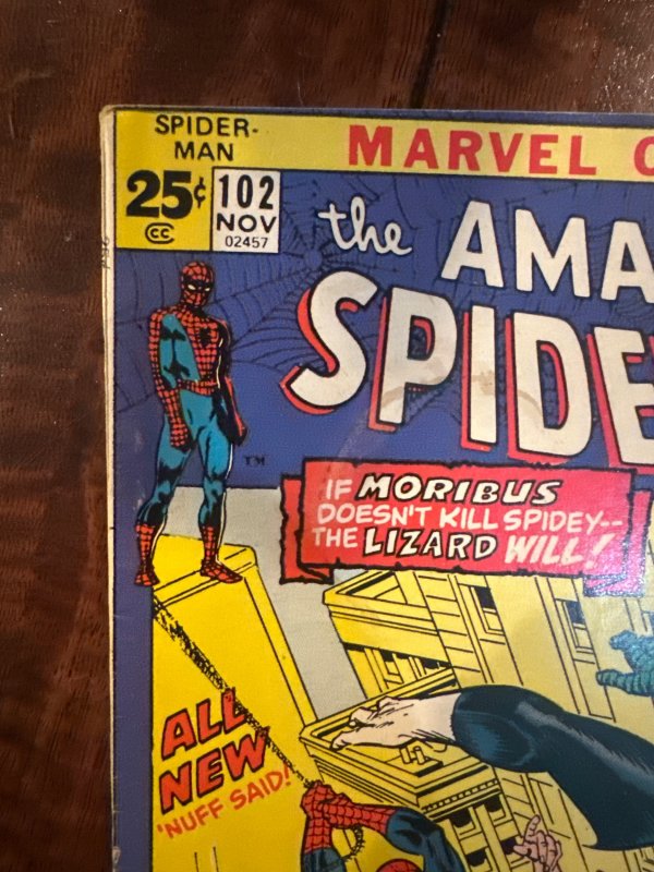 The Amazing Spider-Man #102 (1971)