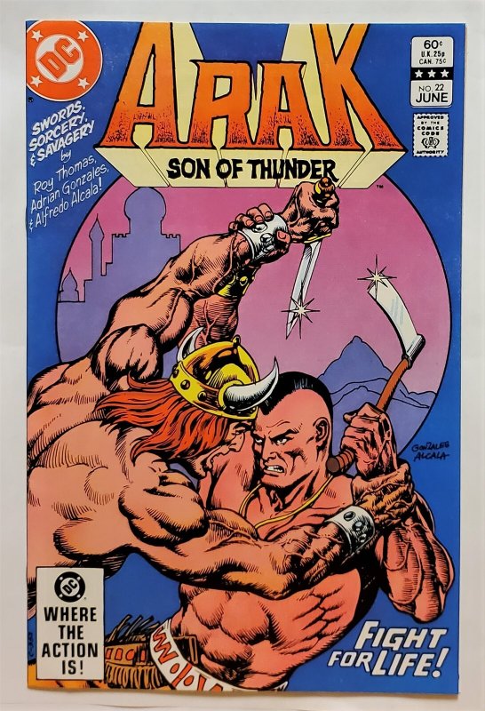 Arak Son of Thunder #22 (June 1983, DC) 7.5 VF-