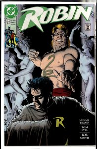Robin #5 (1991) Robin