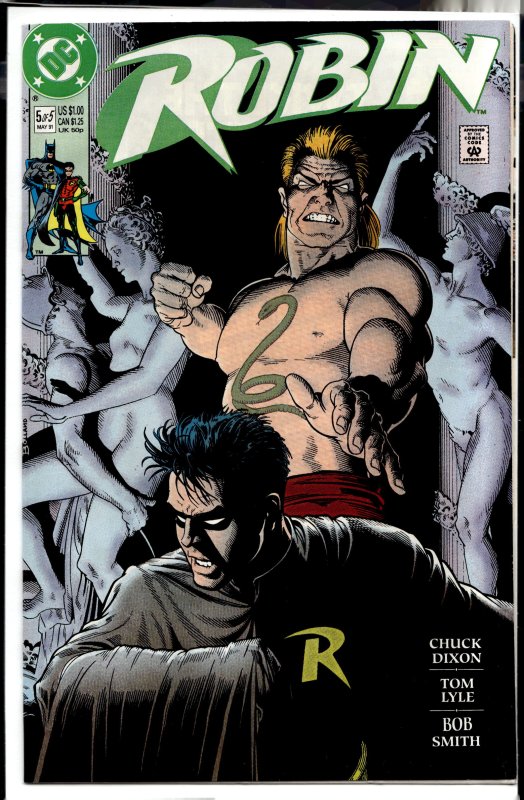 Robin #5 (1991) Robin