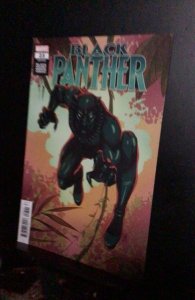 Black Panther #23 Black History Month variant! Super -High-grade!  NM Wow!
