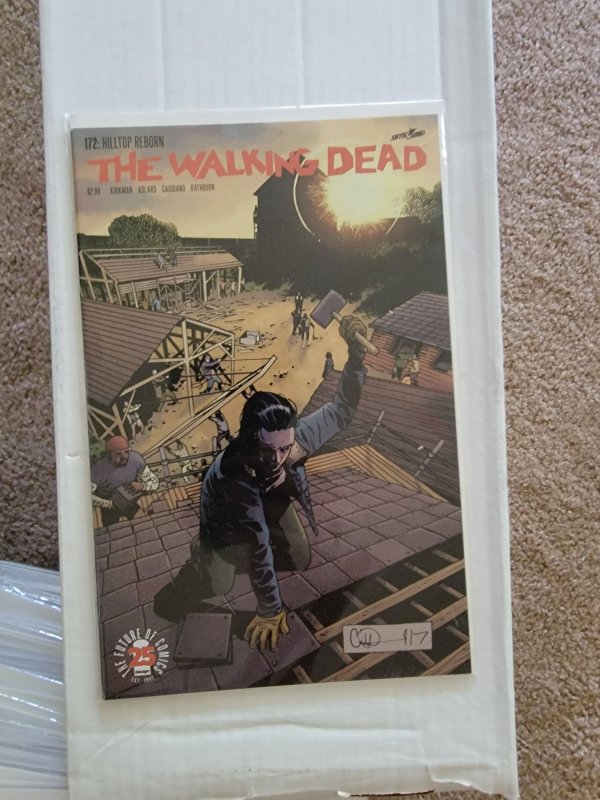 The Walking Dead #172 (2017)