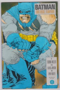 Batman: The Dark Knight (VG) Frank Miller