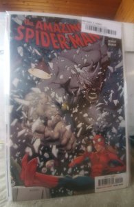 The Amazing Spider-Man #14 (2019)