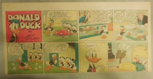 Donald Duck Sunday Page by Walt Disney from 7/4/1943 Third Page Size 