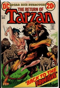 Edgar Rice Burroughs' Tarzan #221 (1973)