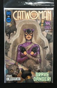 Catwoman #65 (2024)
