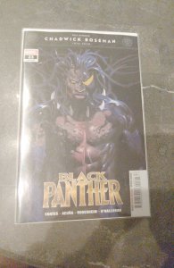 Black Panther #23