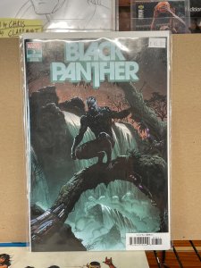 Black Panther #3 Frank Cover (2022)