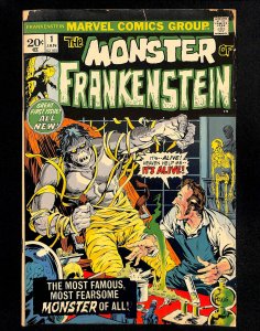 The Frankenstein Monster #1 (1973)