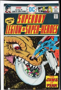 Superboy #213 (1975)