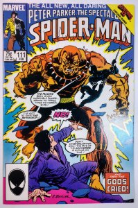 The Spectacular Spider-Man #111 (9.2, 1986)