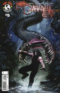 Darkness, The (Vol. 3) #5B FN ; Image | Phil Hester Top Cow