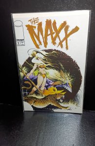 The Maxx: Maxximized #2 Variant Cover (2013)