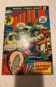 The Incredible Hulk #164 (1973)captive omen/inhuman