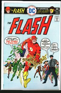 The Flash #239 (1976)
