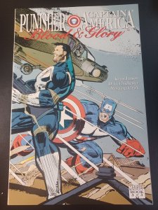 Punisher Captain America: Bood & Glory #3 NM 1992 Marvel Comics c213