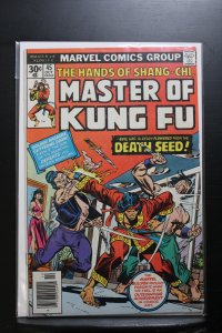 Master of Kung Fu #45 (1976)